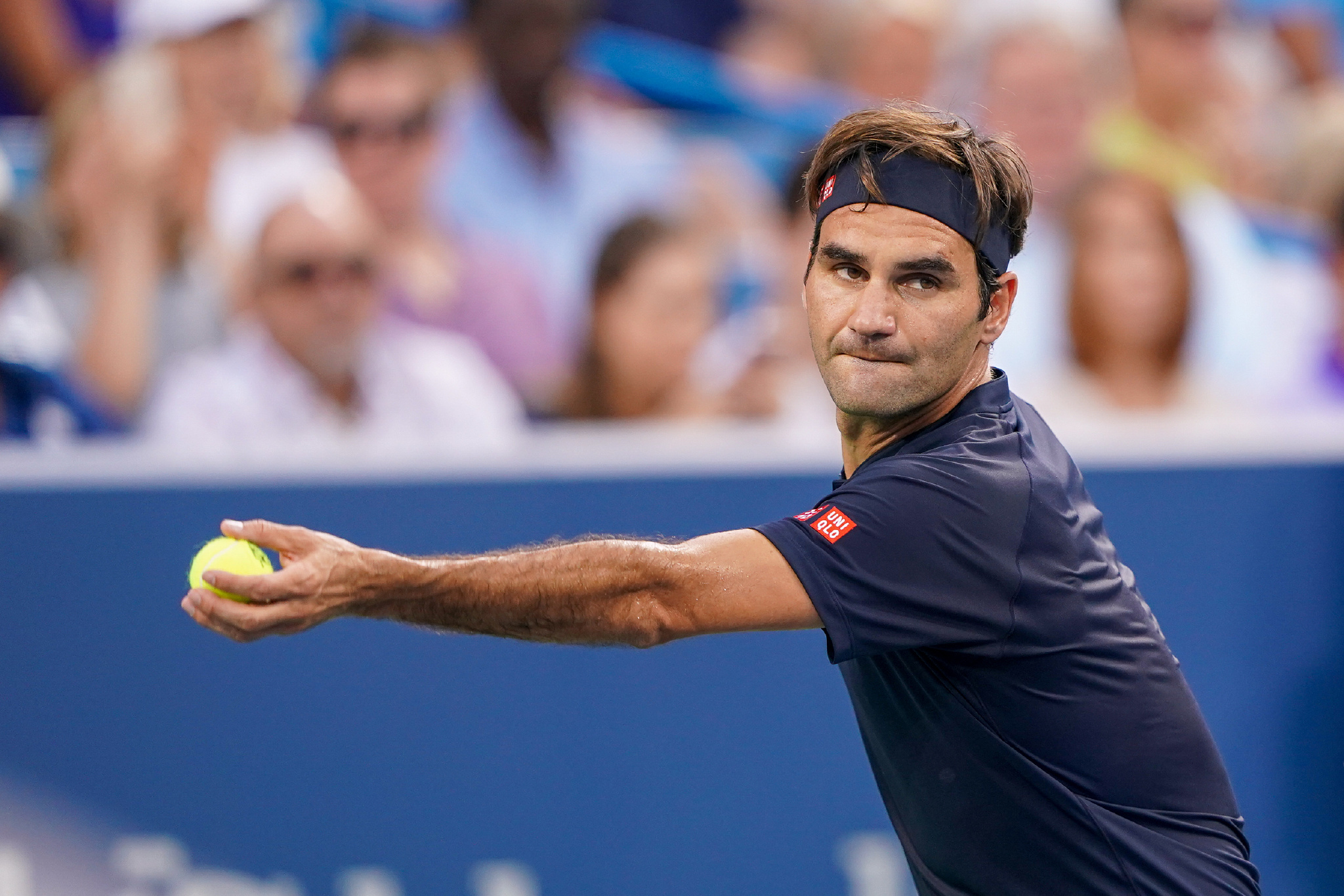 培养上的成 培养上的成