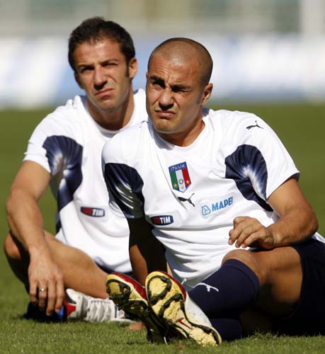 中表现出色 中表现出色