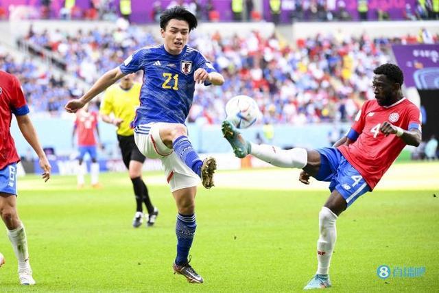 这种高投入 这种高投入