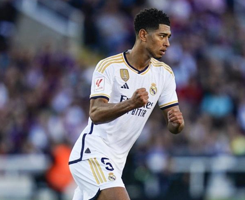 马林鱼队如 马林鱼队如